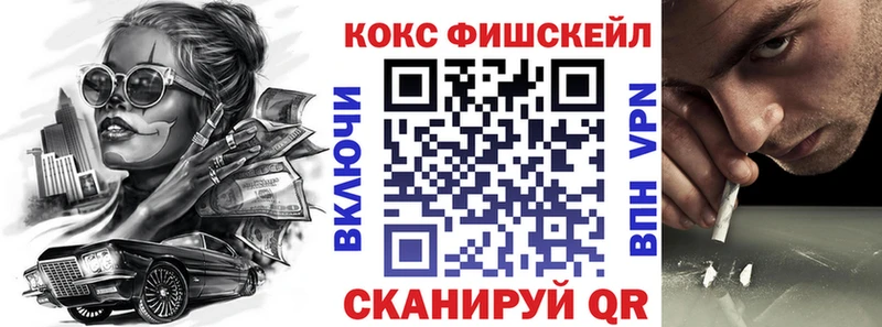 Cocaine Fish Scale  MEGA маркетплейс  Чердынь  магазин   