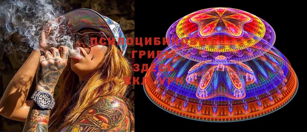 ГАЛЛЮЦИНОГЕННЫЕ ГРИБЫ Ельня