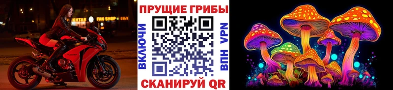 где продают наркотики  Чердынь  Псилоцибиновые грибы ЛСД 